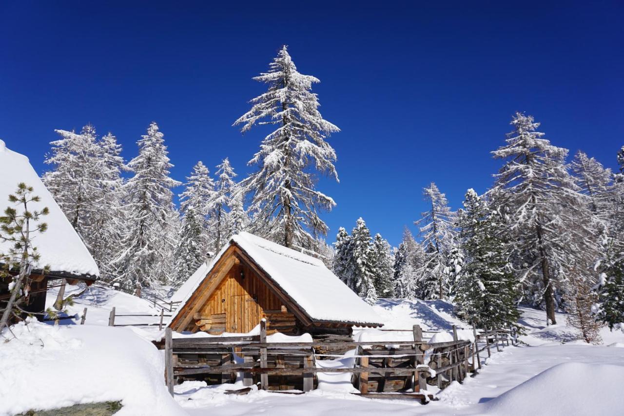 Bergheim Schmidt, Almhuetten Im Wald Appartments An Der Piste Alpine Huts In Forrest Appartments Near Slope ทูร์ราคาฮัว ภายนอก รูปภาพ